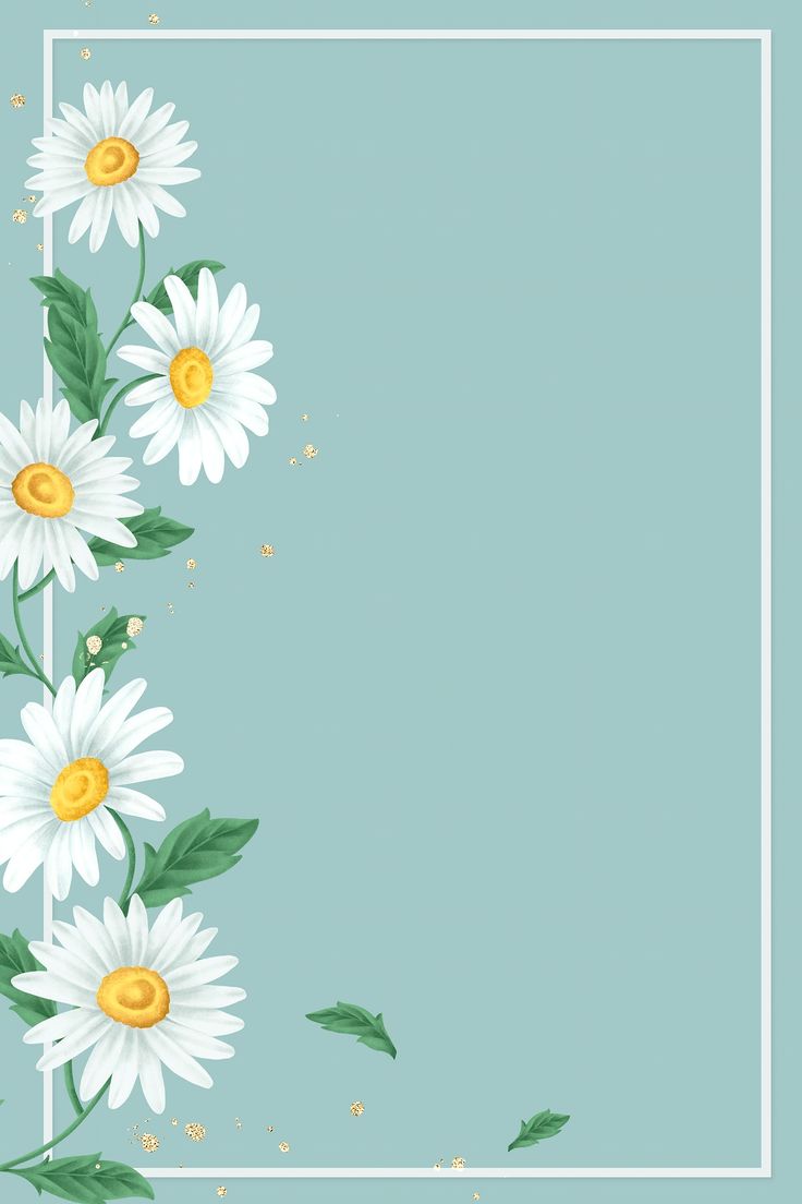 daisies min